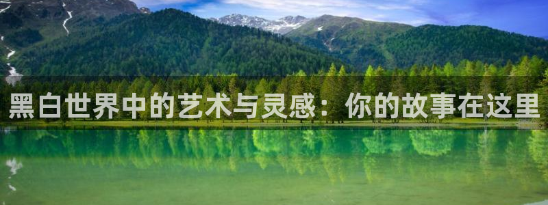 age动漫官网在线入口：黑白世界中的艺术与灵感：你的故事在这里