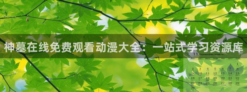 age动漫网官网入口：神墓在线免费观看动漫大全：一站式学习资源库