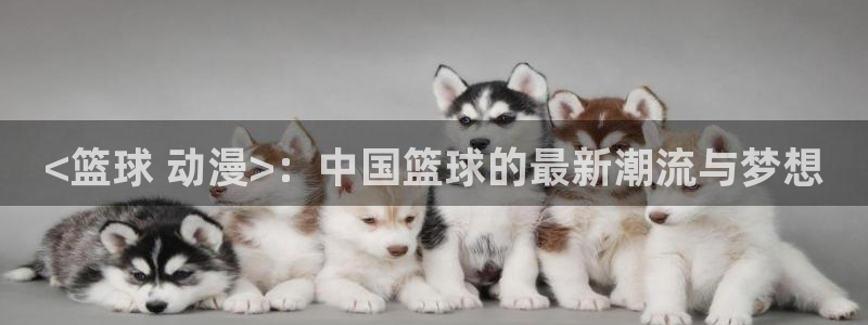age动漫omofun：<篮球 动漫>：中国篮球的最新潮流与梦想