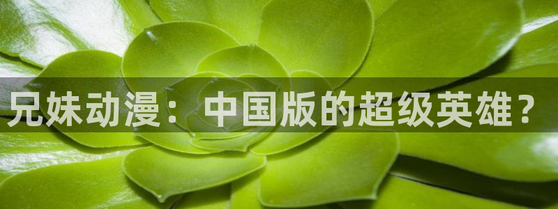 age动漫官网在线入口：兄妹动漫：中国版的超级英雄？