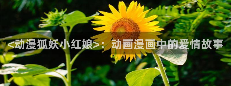 age动漫官网樱花动漫：<动漫狐妖小红娘>：动画漫画中的爱情故事
