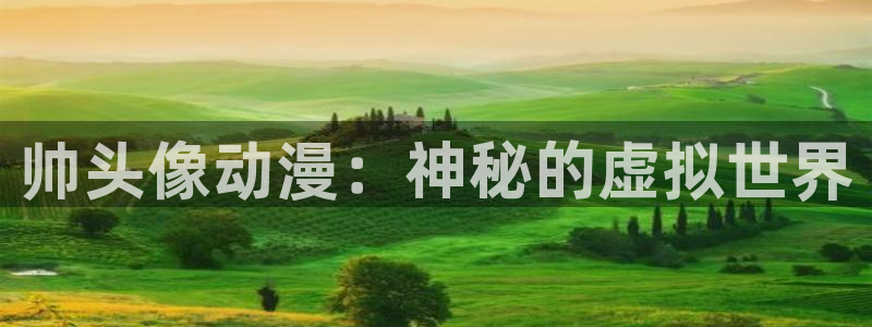韩国漫画平台kakaopage：帅头像动漫：神秘的虚拟世界