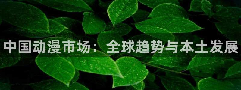 age动漫官网版入口：中国动漫市场：全球趋势与本土发展