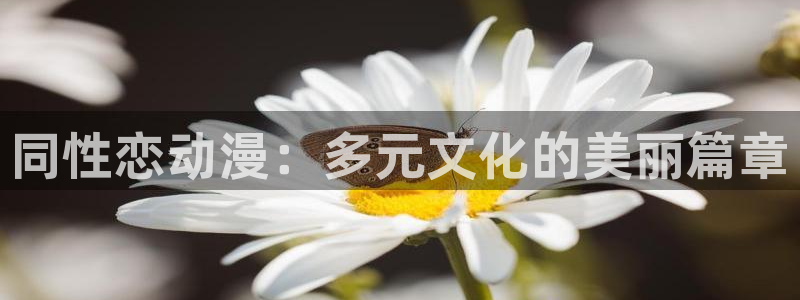 age动漫下载动漫全免费：同性恋动漫：多元文化的美丽篇章