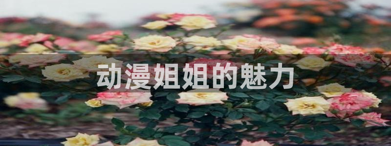 age动漫官网版入口：动漫姐姐的魅力
