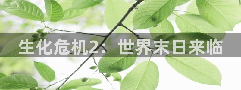 age动漫官网入口老版本：生化危机2：世界末日来临