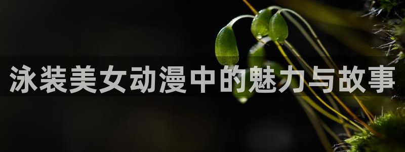 age专注动漫的门户网站：泳装美女动漫中的魅力与故事