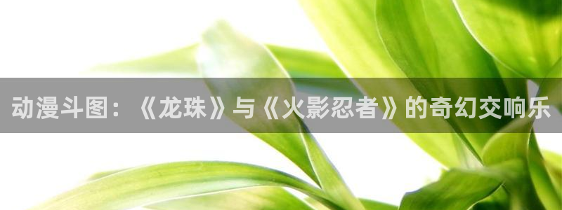 age动漫官网樱花动漫：动漫斗图：《龙珠》与《火影忍者》的奇幻交响乐