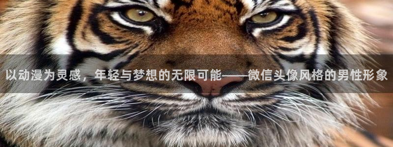 age动漫：以动漫为灵感，年轻与梦想的无限可能——微信头像风格的男性形象