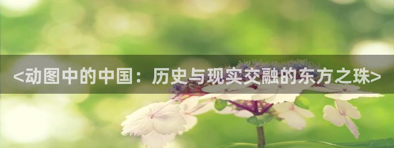 age动漫网下载：<动图中的中国：历史与现实交融的东方之珠>