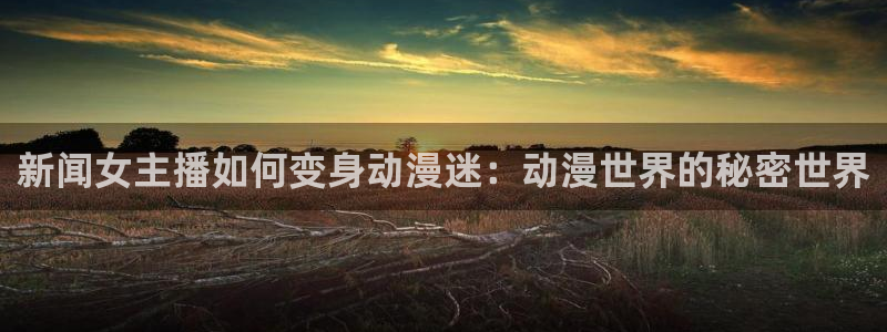 age动漫官网版入口：新闻女主播如何变身动漫迷：动漫世界的秘密世界