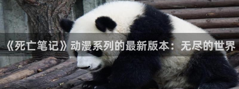 age动漫专注动漫的门户网站：《死亡笔记》动漫系列的最新版本：无尽的世界