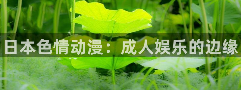 age动漫网下载：日本色情动漫：成人娱乐的边缘