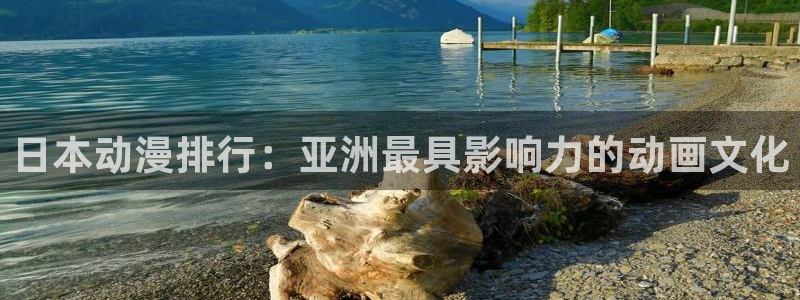 拷贝漫画 copymanager.ory网站：日本动漫排行：亚洲最具影响力的动画文化